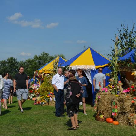 Wyświetl org. rozmiar