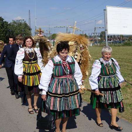Wyświetl org. rozmiar