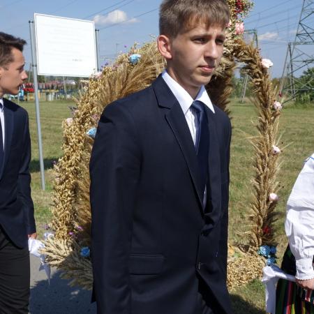 Wyświetl org. rozmiar