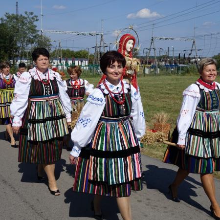 Wyświetl org. rozmiar