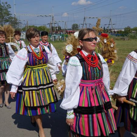 Wyświetl org. rozmiar