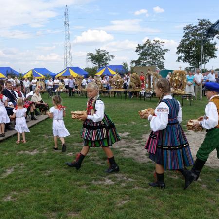 Wyświetl org. rozmiar