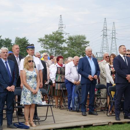 Wyświetl org. rozmiar