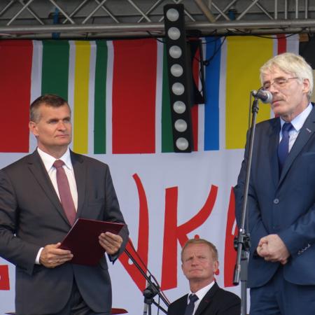 Wyświetl org. rozmiar