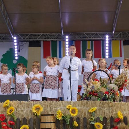 Wyświetl org. rozmiar