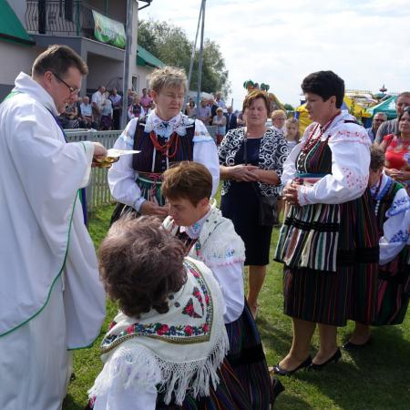 Wyświetl org. rozmiar