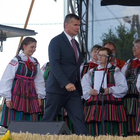 Wyświetl org. rozmiar