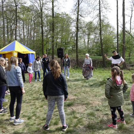Wyświetl org. rozmiar