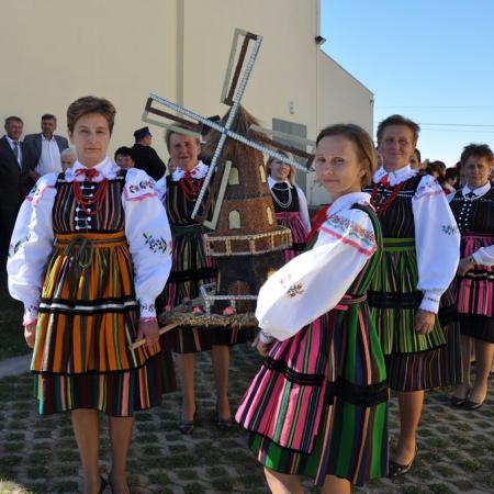Wyświetl org. rozmiar