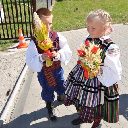 Wyświetl org. rozmiar