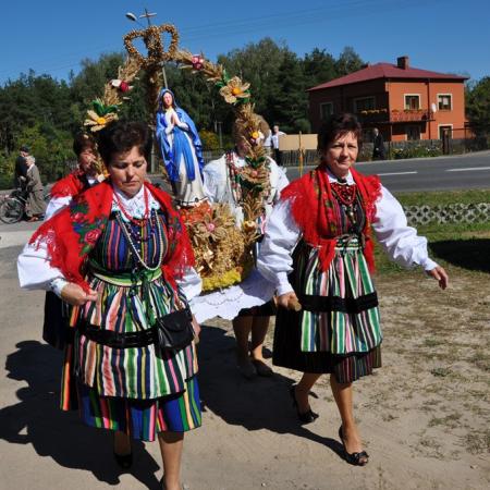 Wyświetl org. rozmiar