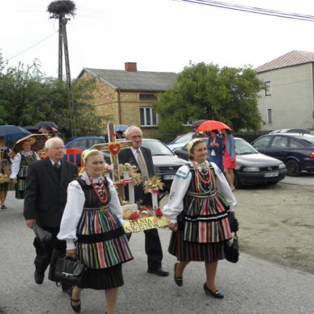 Wyświetl org. rozmiar