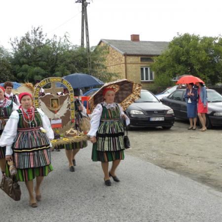 Wyświetl org. rozmiar