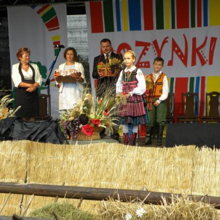 Wyświetl org. rozmiar