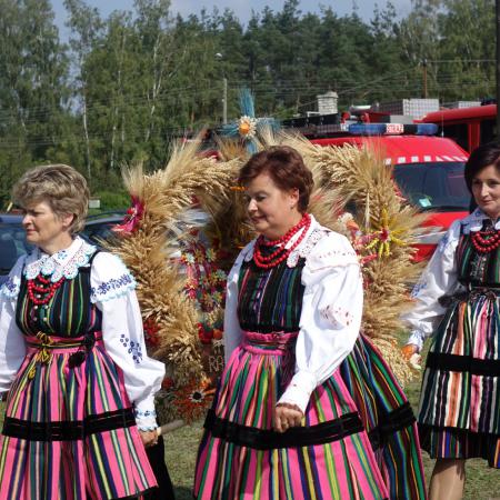 Wyświetl org. rozmiar