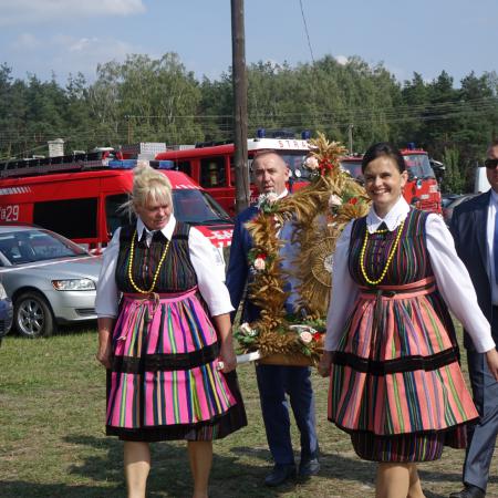 Wyświetl org. rozmiar