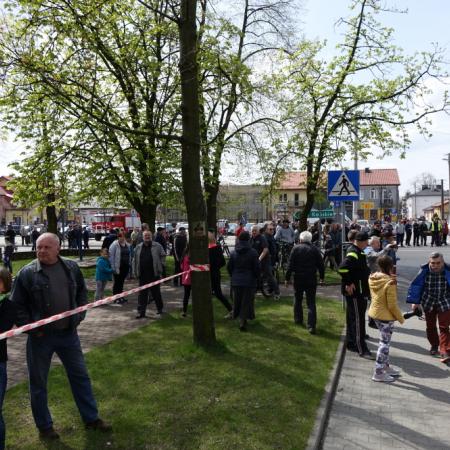 Wyświetl org. rozmiar