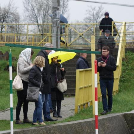 Wyświetl org. rozmiar