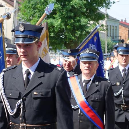 Wyświetl org. rozmiar