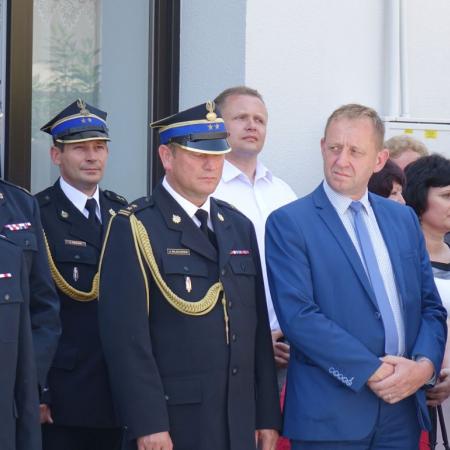 Wyświetl org. rozmiar