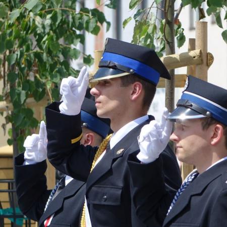 Wyświetl org. rozmiar