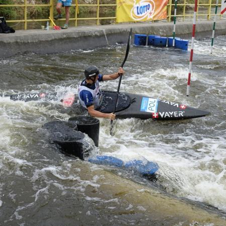 Wyświetl org. rozmiar