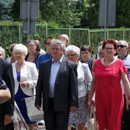 Wyświetl org. rozmiar