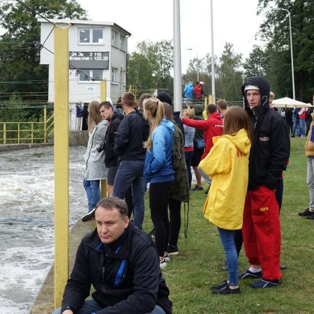 Wyświetl org. rozmiar