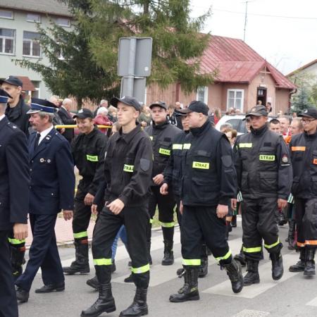 Wyświetl org. rozmiar