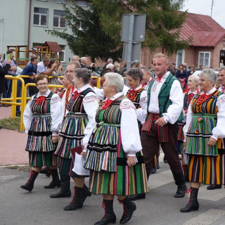 Wyświetl org. rozmiar