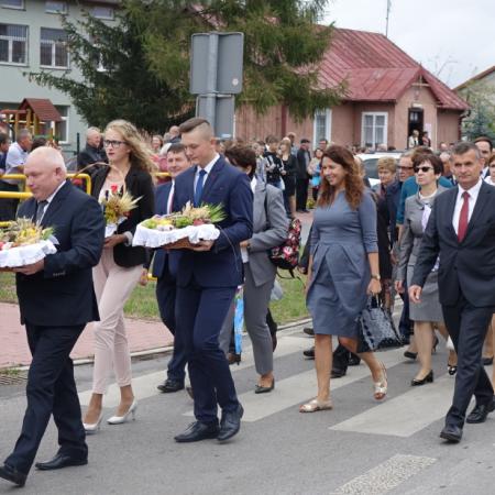 Wyświetl org. rozmiar