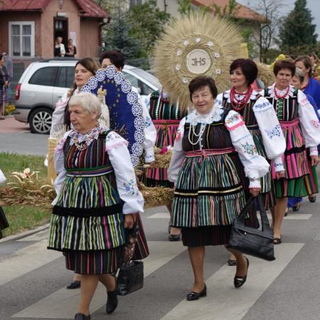 Wyświetl org. rozmiar