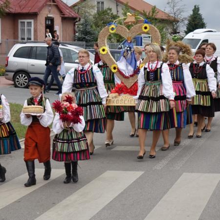 Wyświetl org. rozmiar