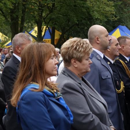 Wyświetl org. rozmiar