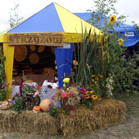 Wyświetl org. rozmiar
