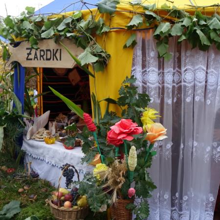 Wyświetl org. rozmiar