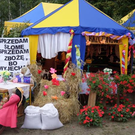 Wyświetl org. rozmiar