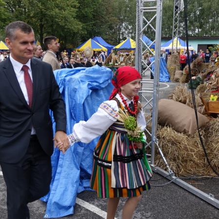 Wyświetl org. rozmiar