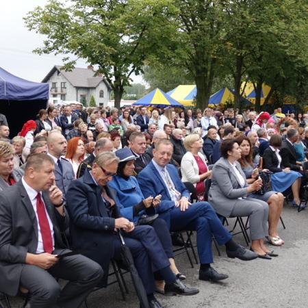 Wyświetl org. rozmiar