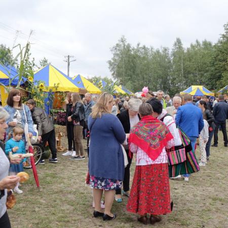 Wyświetl org. rozmiar