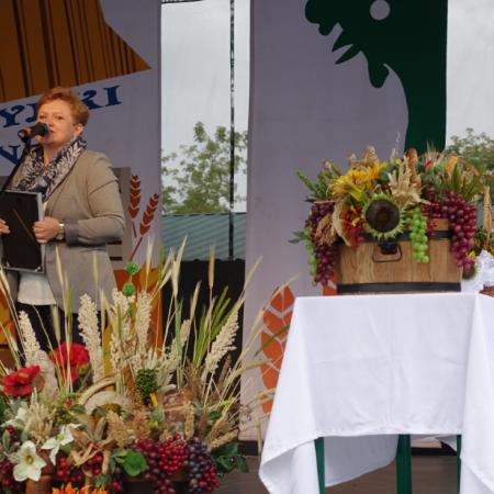 Wyświetl org. rozmiar