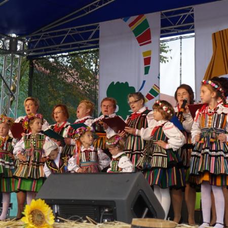 Wyświetl org. rozmiar