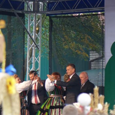 Wyświetl org. rozmiar