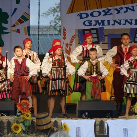 Wyświetl org. rozmiar