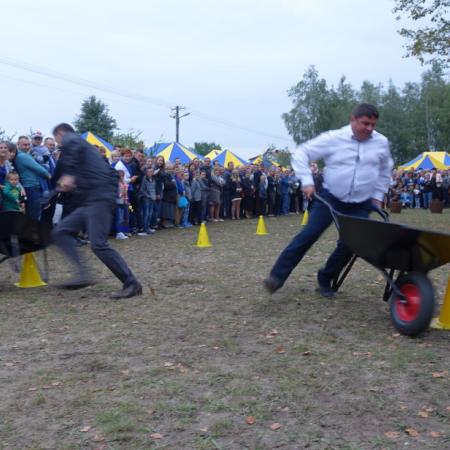 Wyświetl org. rozmiar