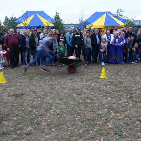 Wyświetl org. rozmiar