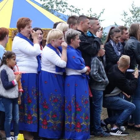 Wyświetl org. rozmiar
