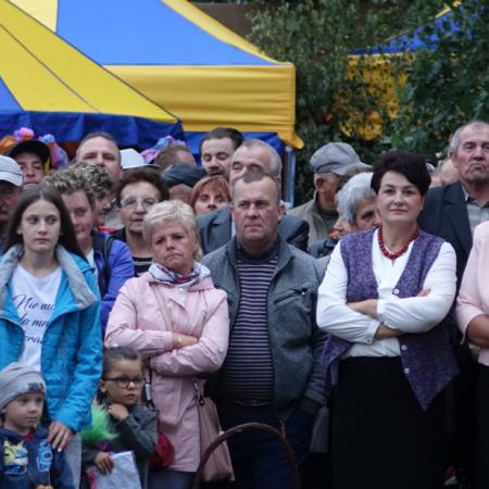 Wyświetl org. rozmiar