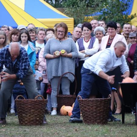 Wyświetl org. rozmiar