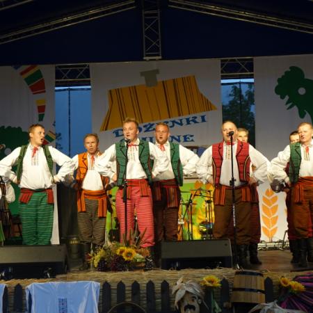 Wyświetl org. rozmiar
